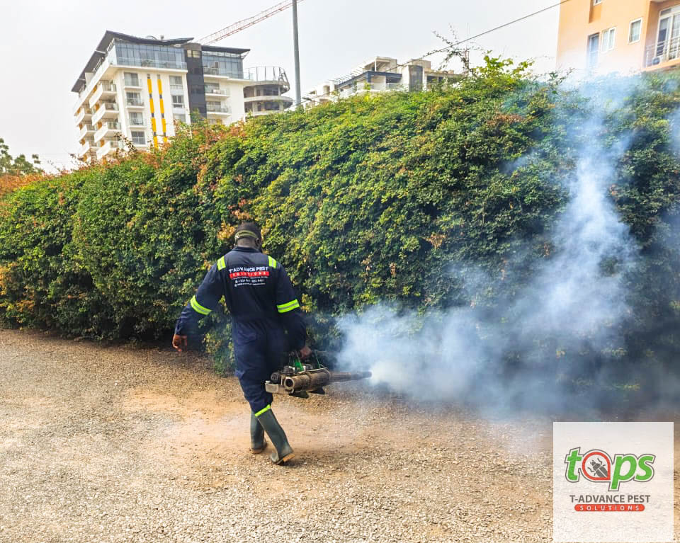 pest control project 4